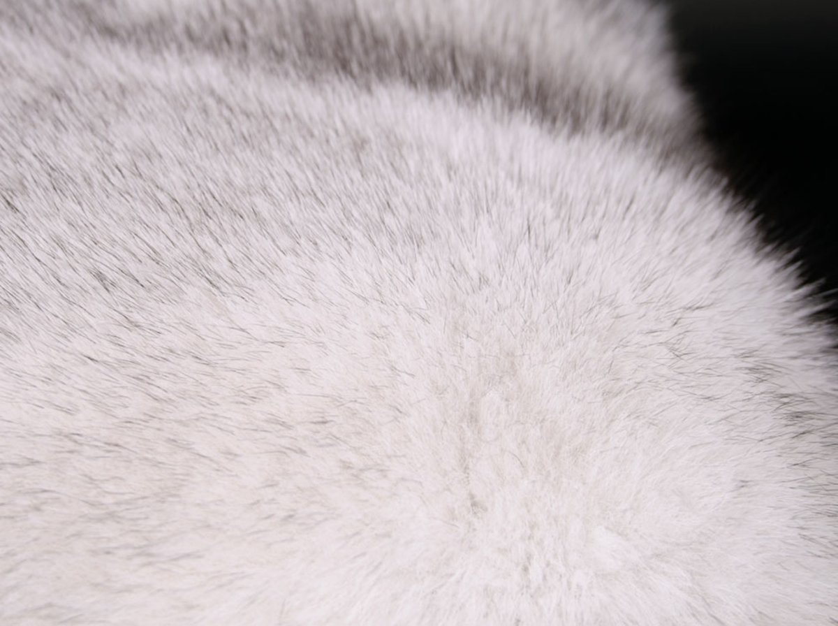 Овечья шерсть на белом фоне