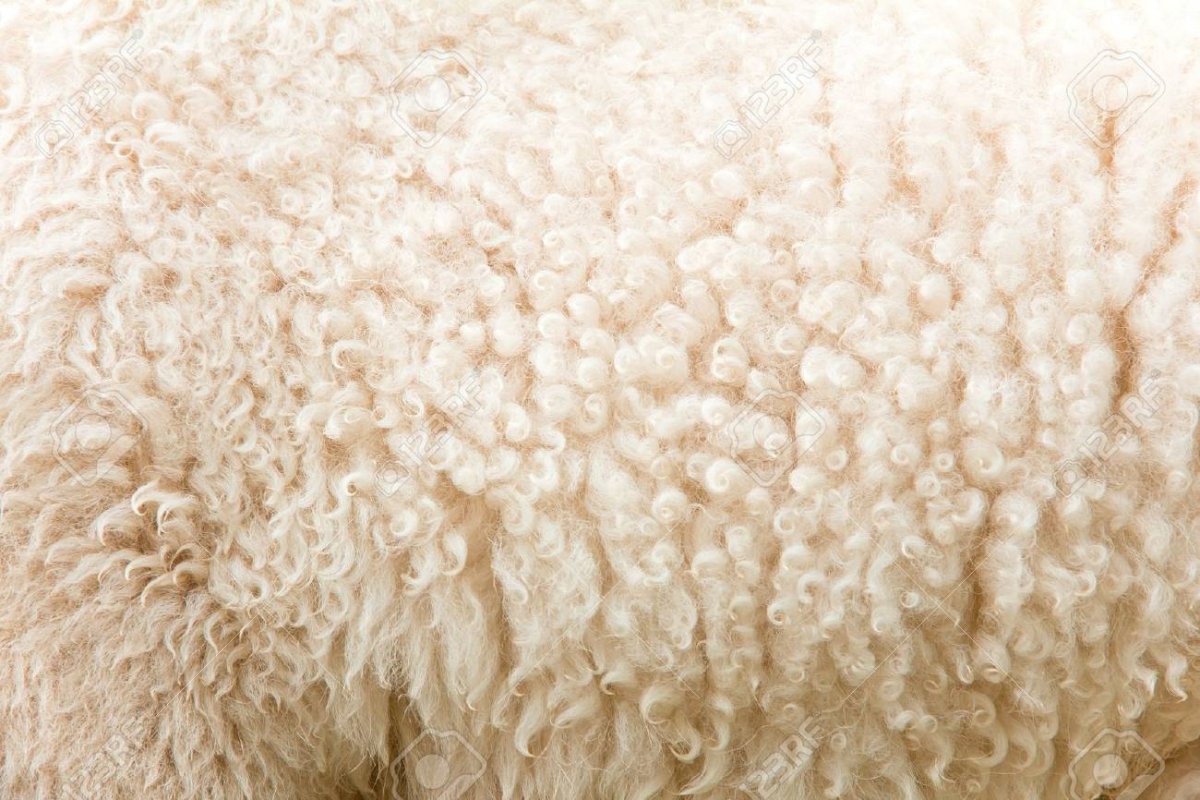 Текстура шерсти