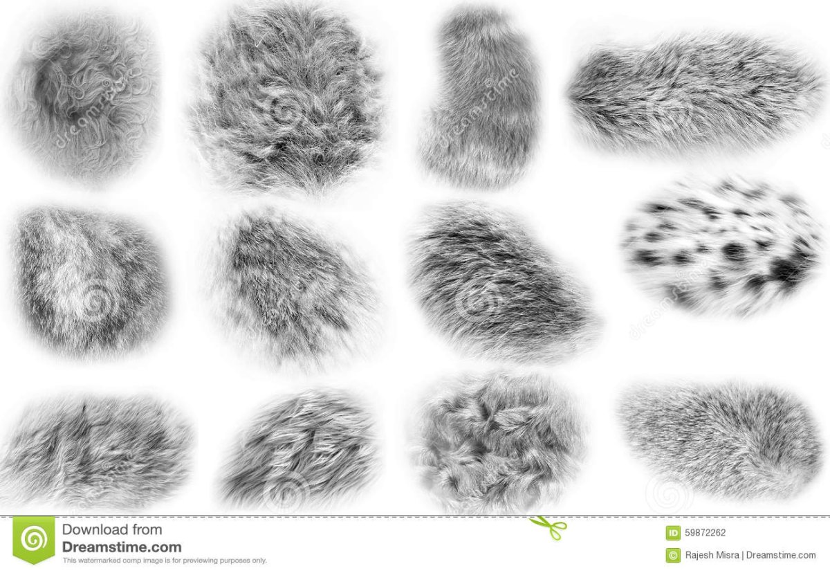 Текстура шерсти референс
