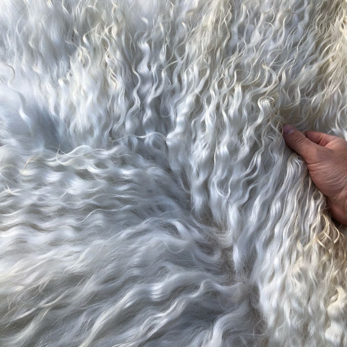 Верблюжья шерсть