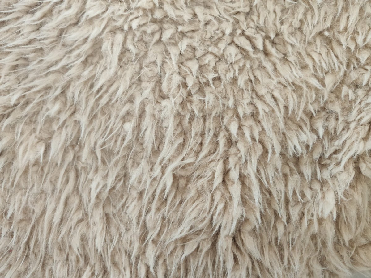 Красивая шерсть