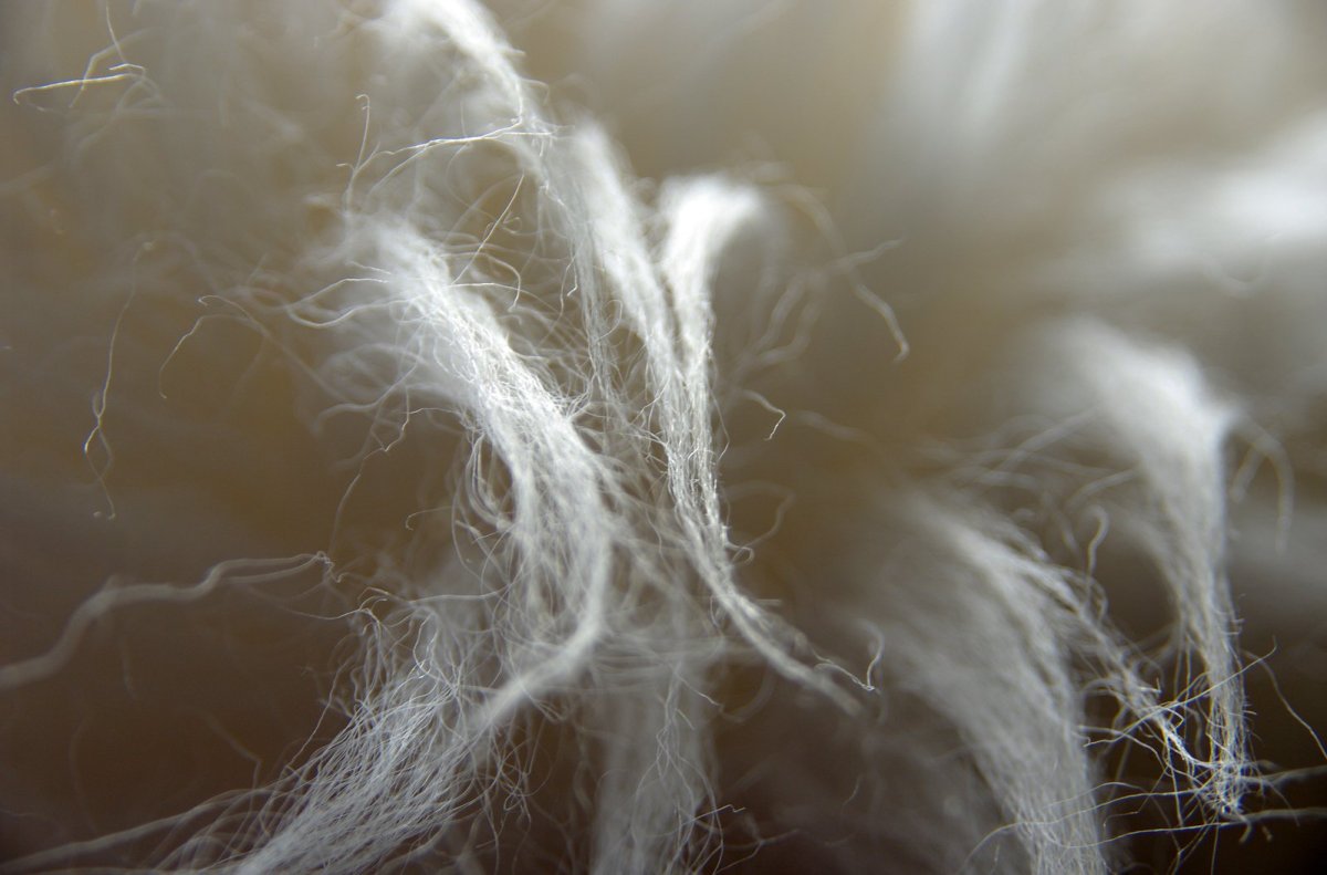 Серая шерсть текстура