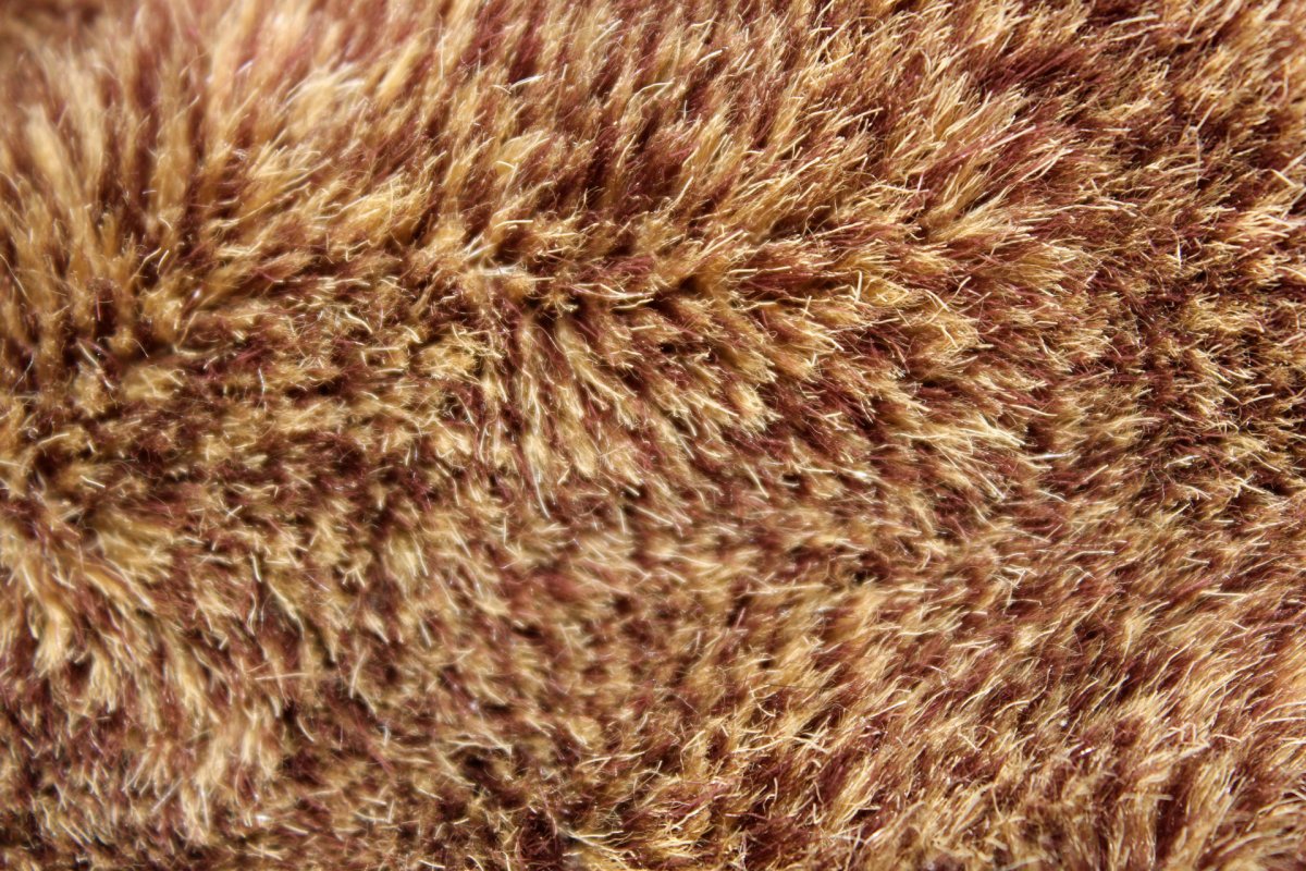 Овечья шерсть волокно