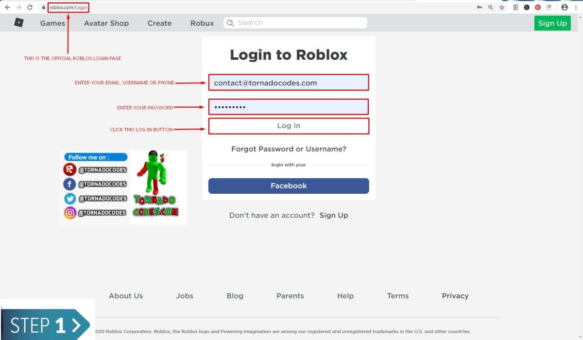 Раскраски для мальчиков РОБЛОКС