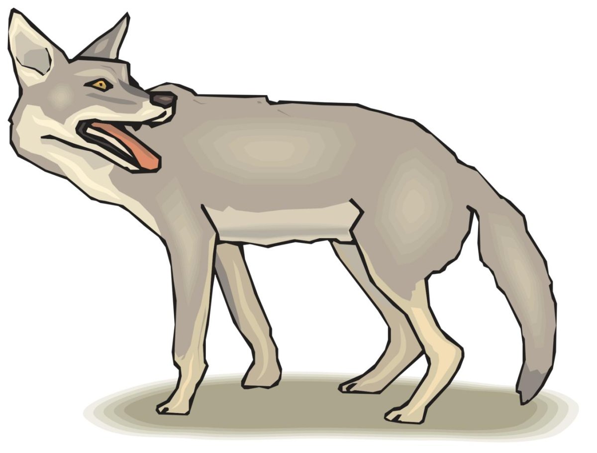 Волк койот и Шакал изображения