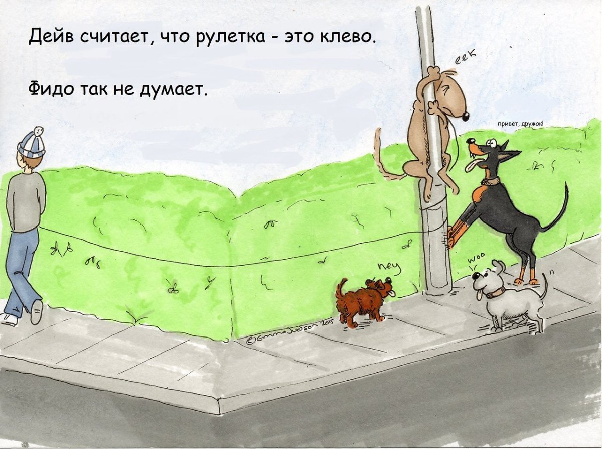 Век долог полон пословица