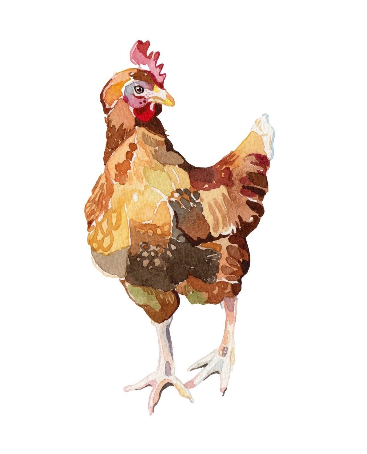 Курочка для малышей мультяшная