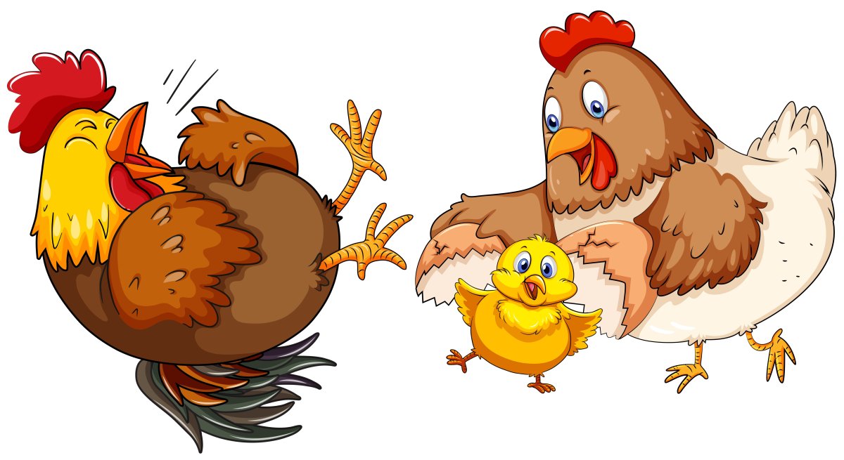 Курица стилизация