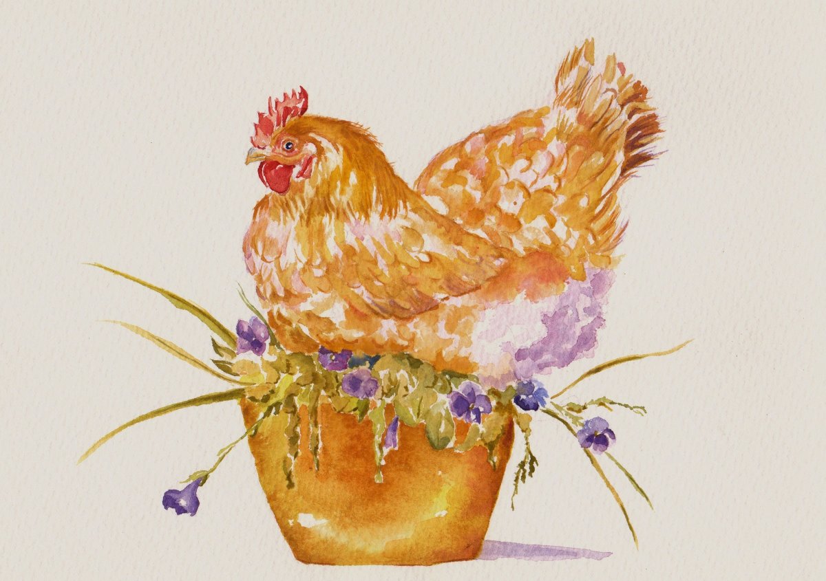 Цыпленок рисунок