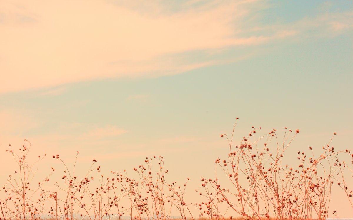 Фон для рабочего стола