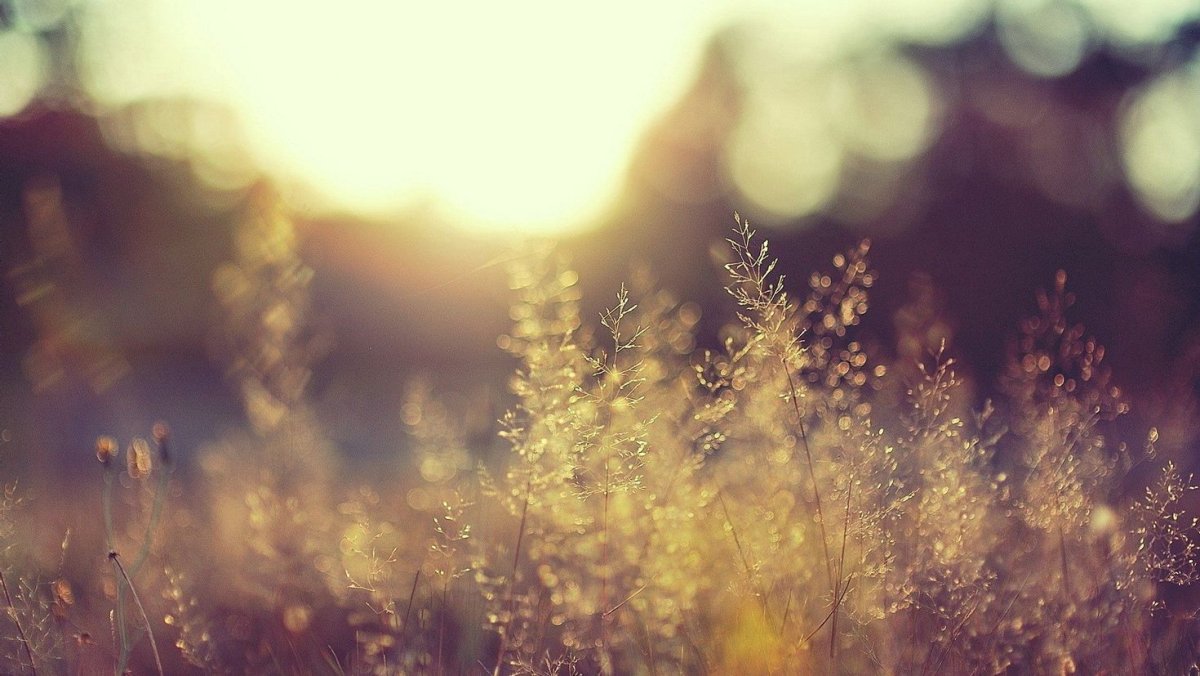 Размытый пейзаж