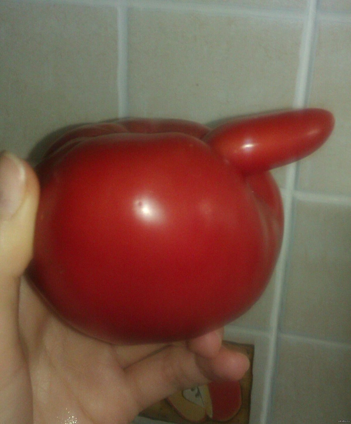 Завявшие помидоры