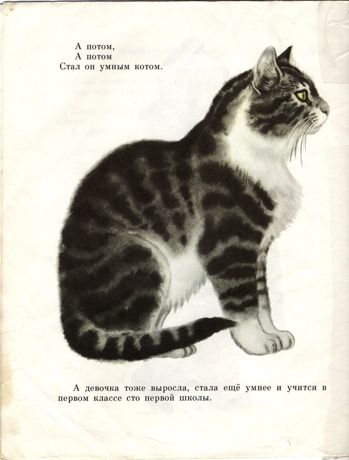 Рисунки на сказку Усатый полосатый для детей