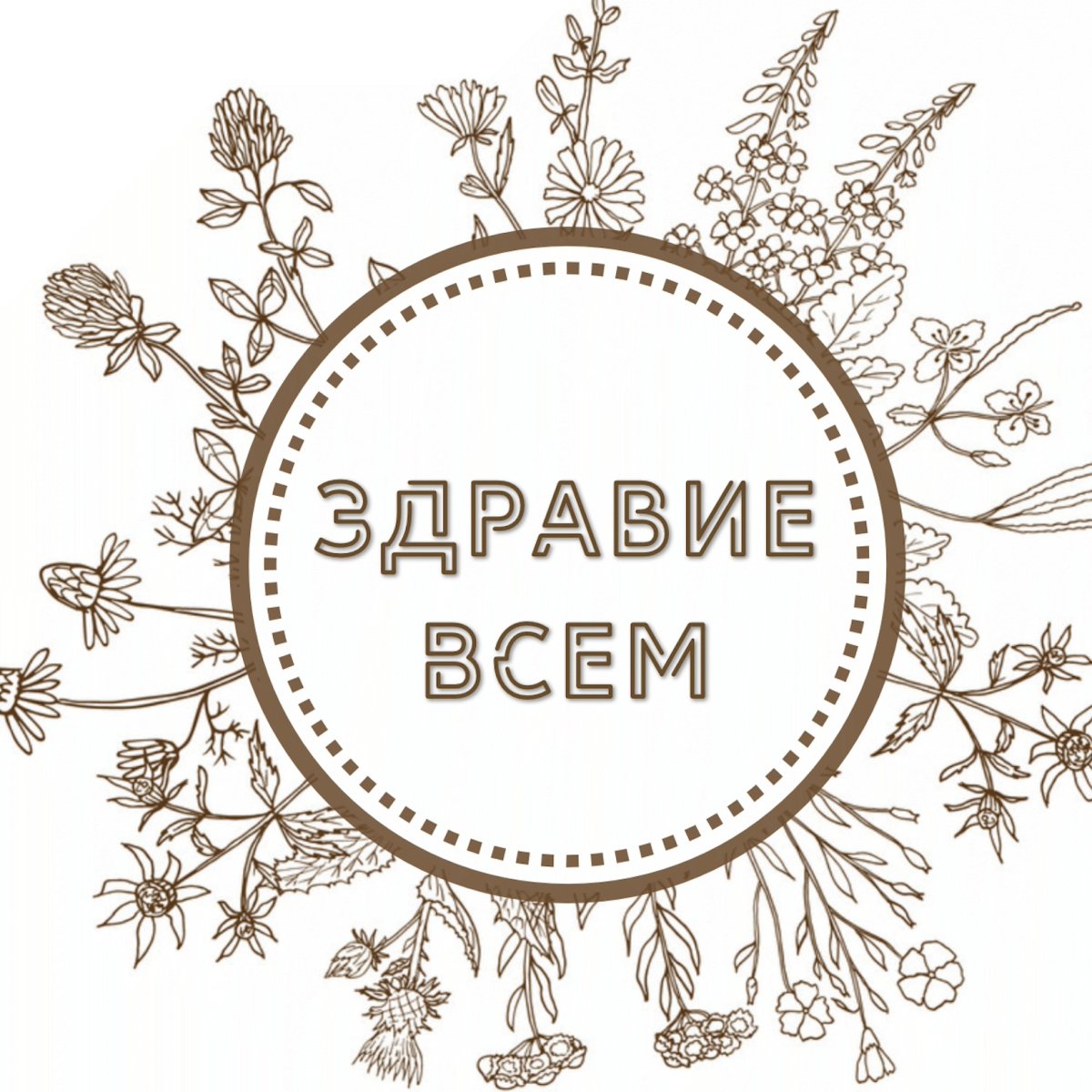 Всем здравия