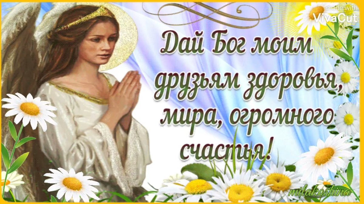 Мудрые пожелания с добрым утром