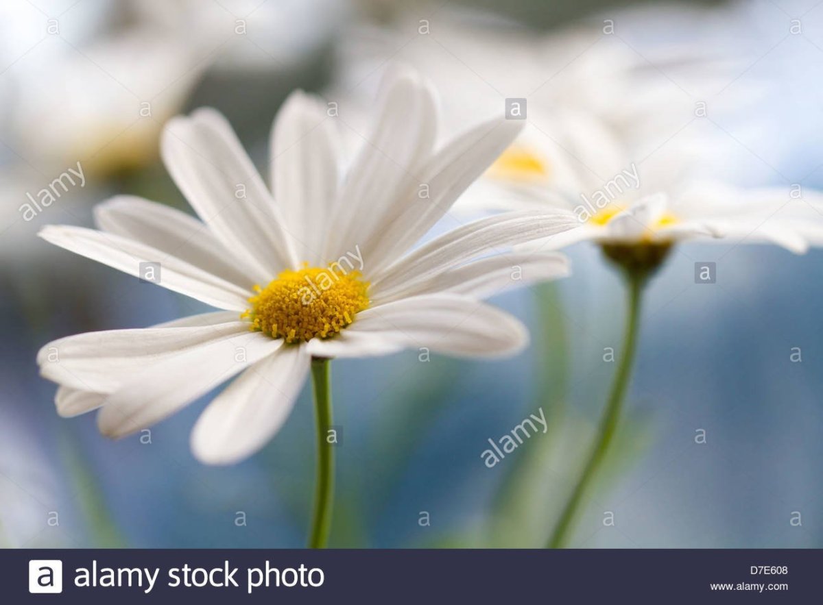 Удачного дня и хорошего настроения