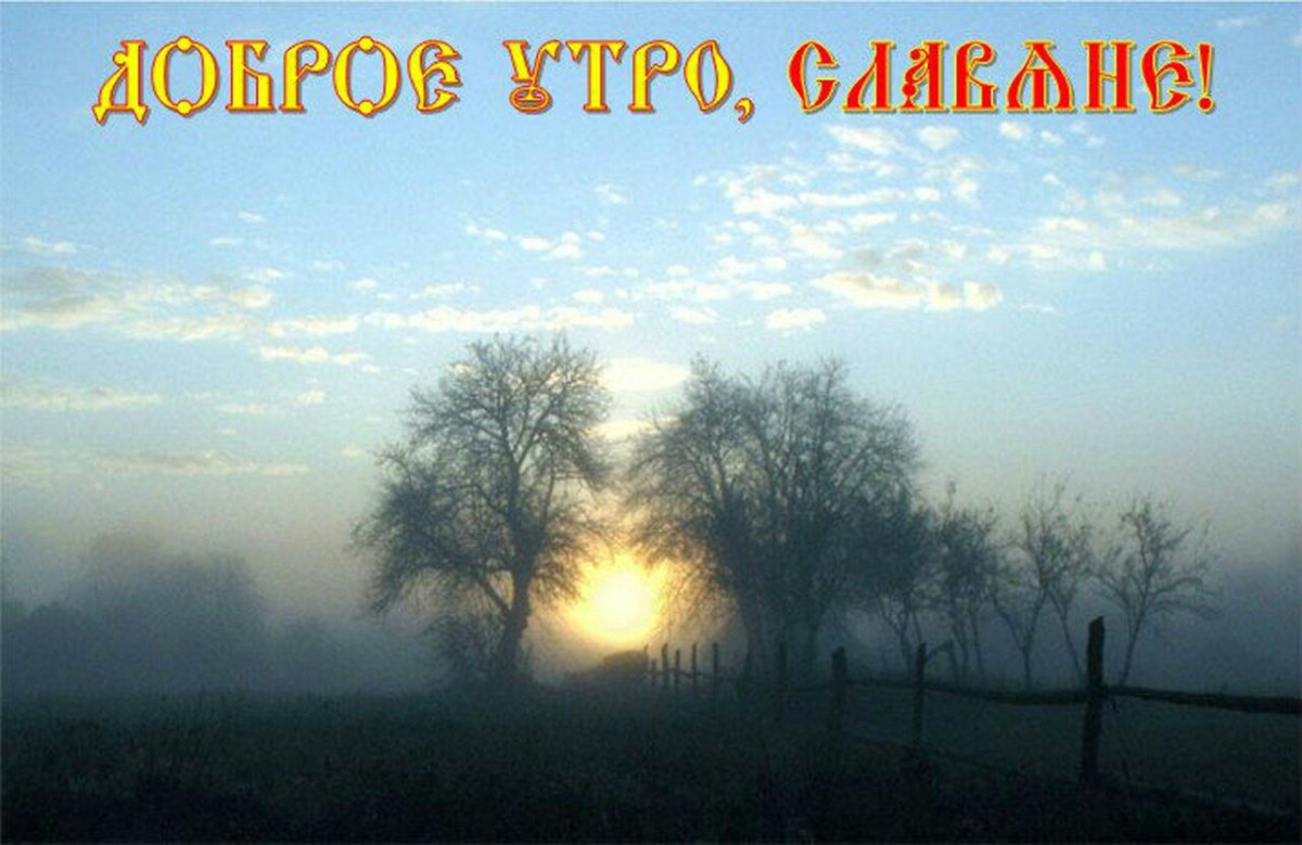 Скорейшего выздоровления открытка