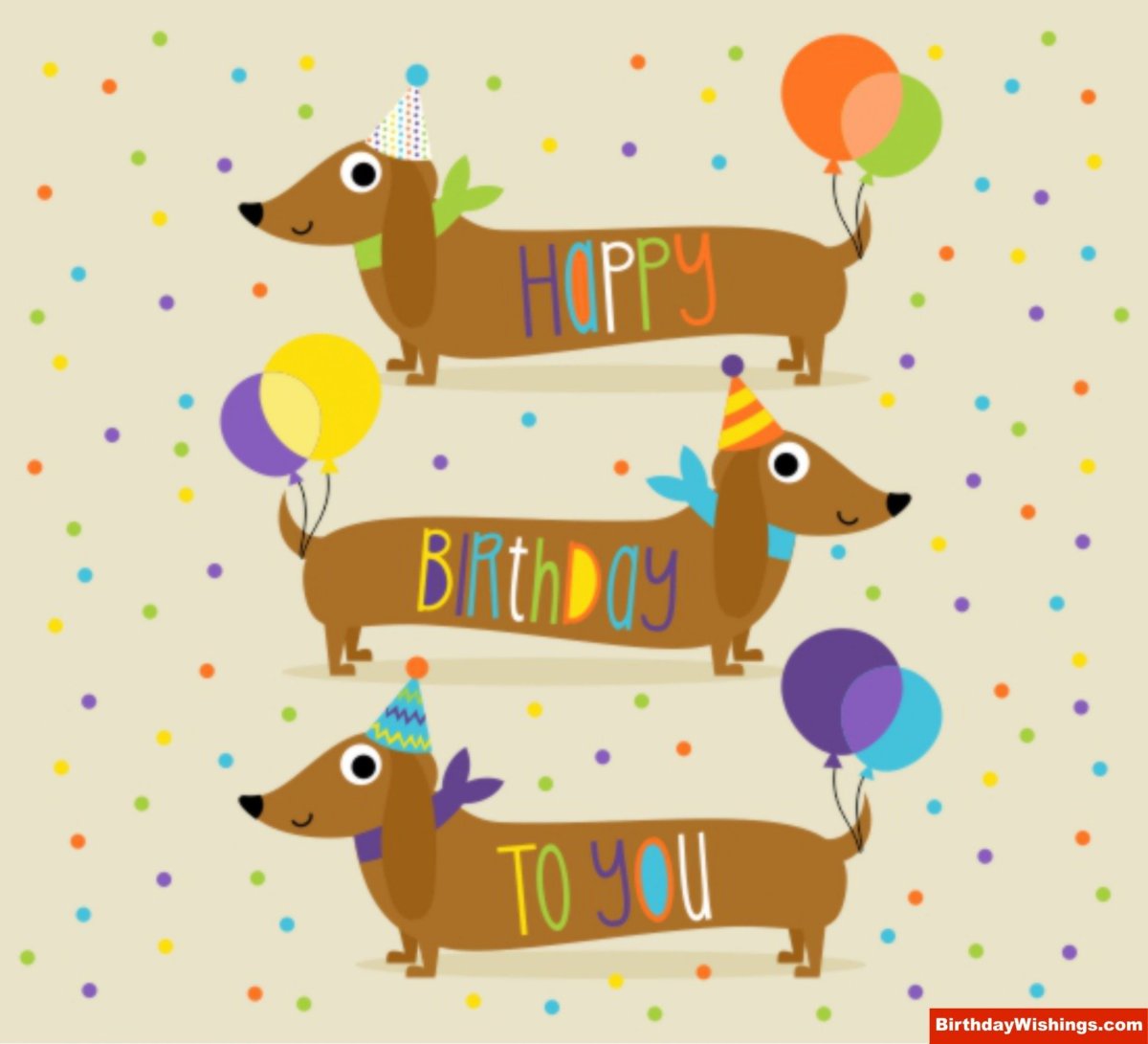 Такса поздравляет с днем рождения