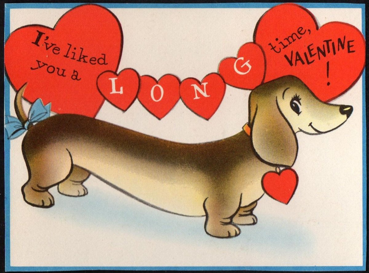 С днём рождения собака такса