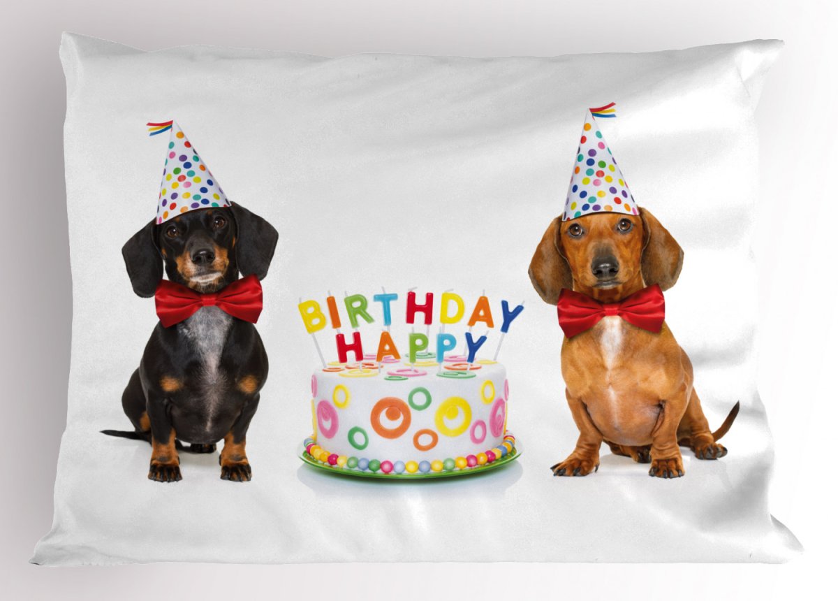 С днем рождения такса