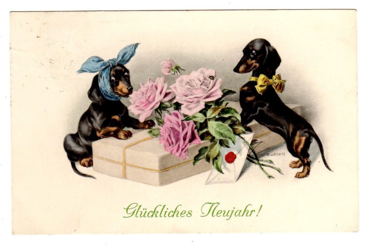 Смешные валентинки с собаками