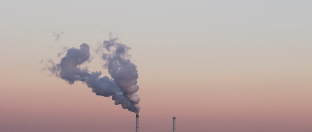 Влияние загрязнения на окружающую среду