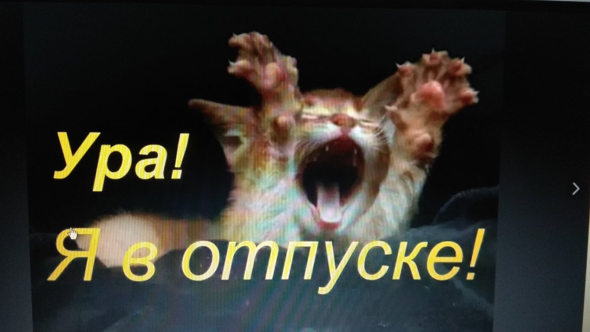 Море жди меня