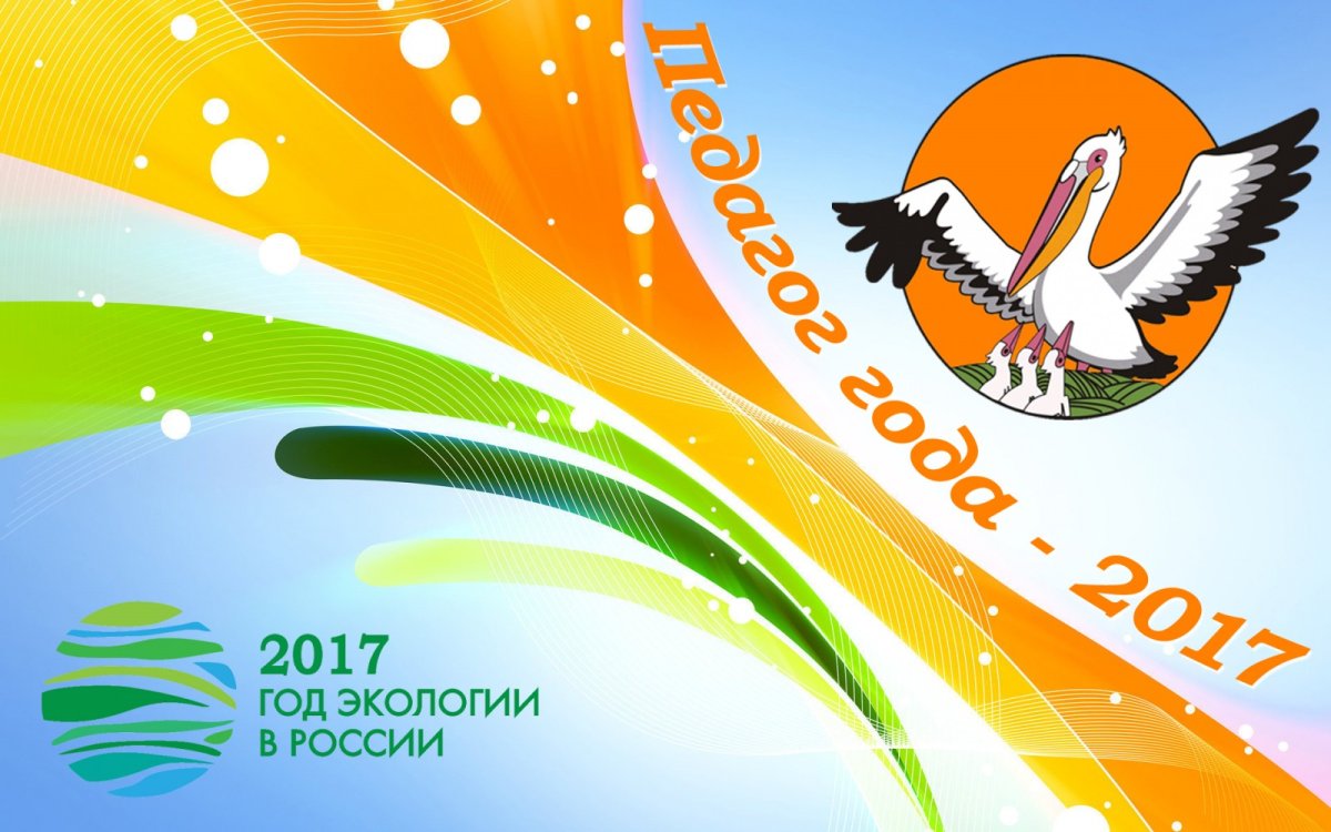 Конкурс педагог года