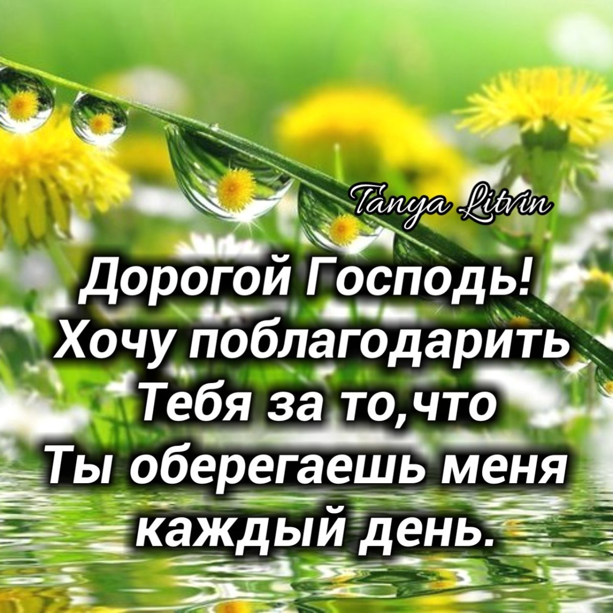 Доброе утро стихи