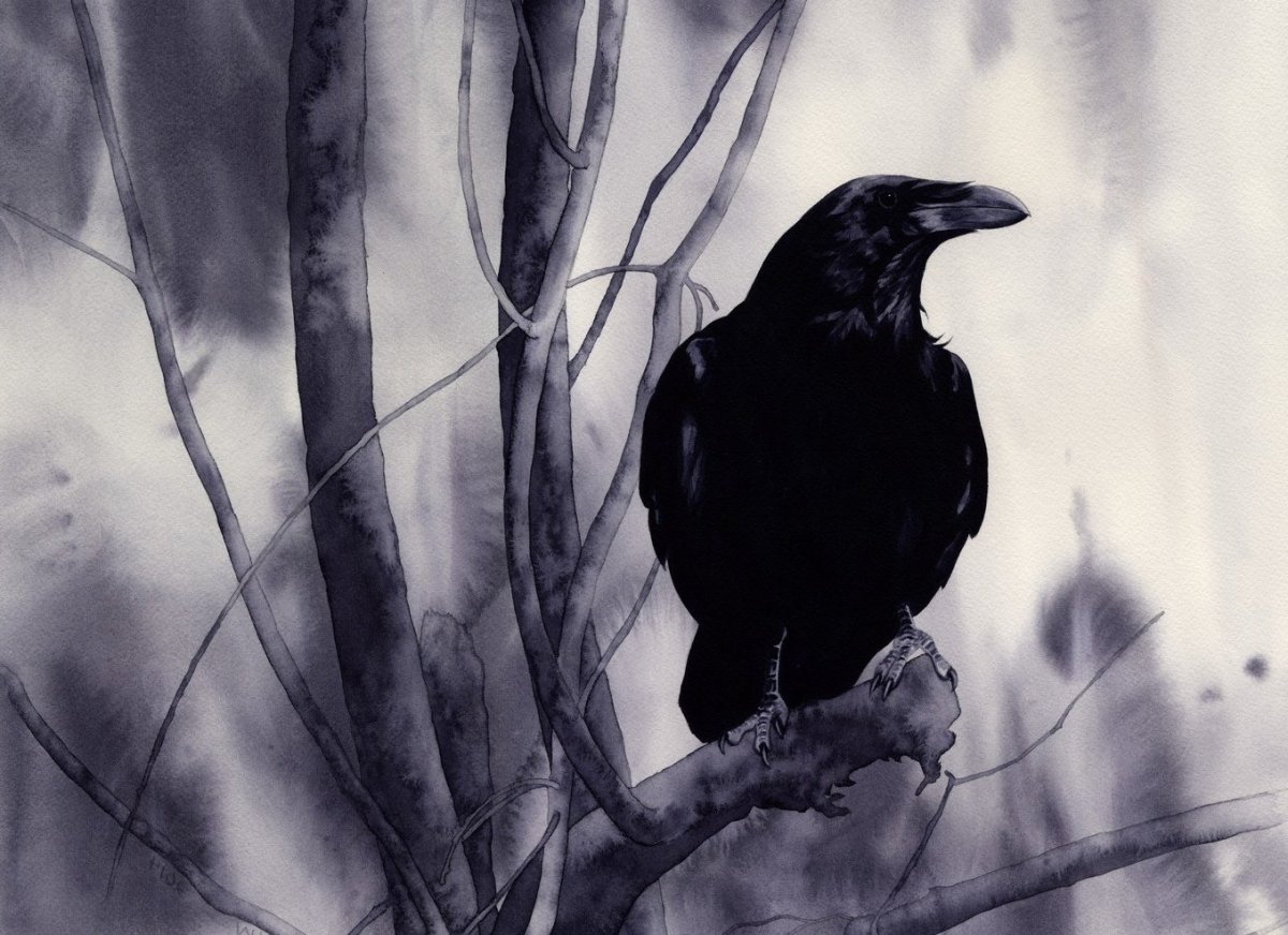 Ворон иконка