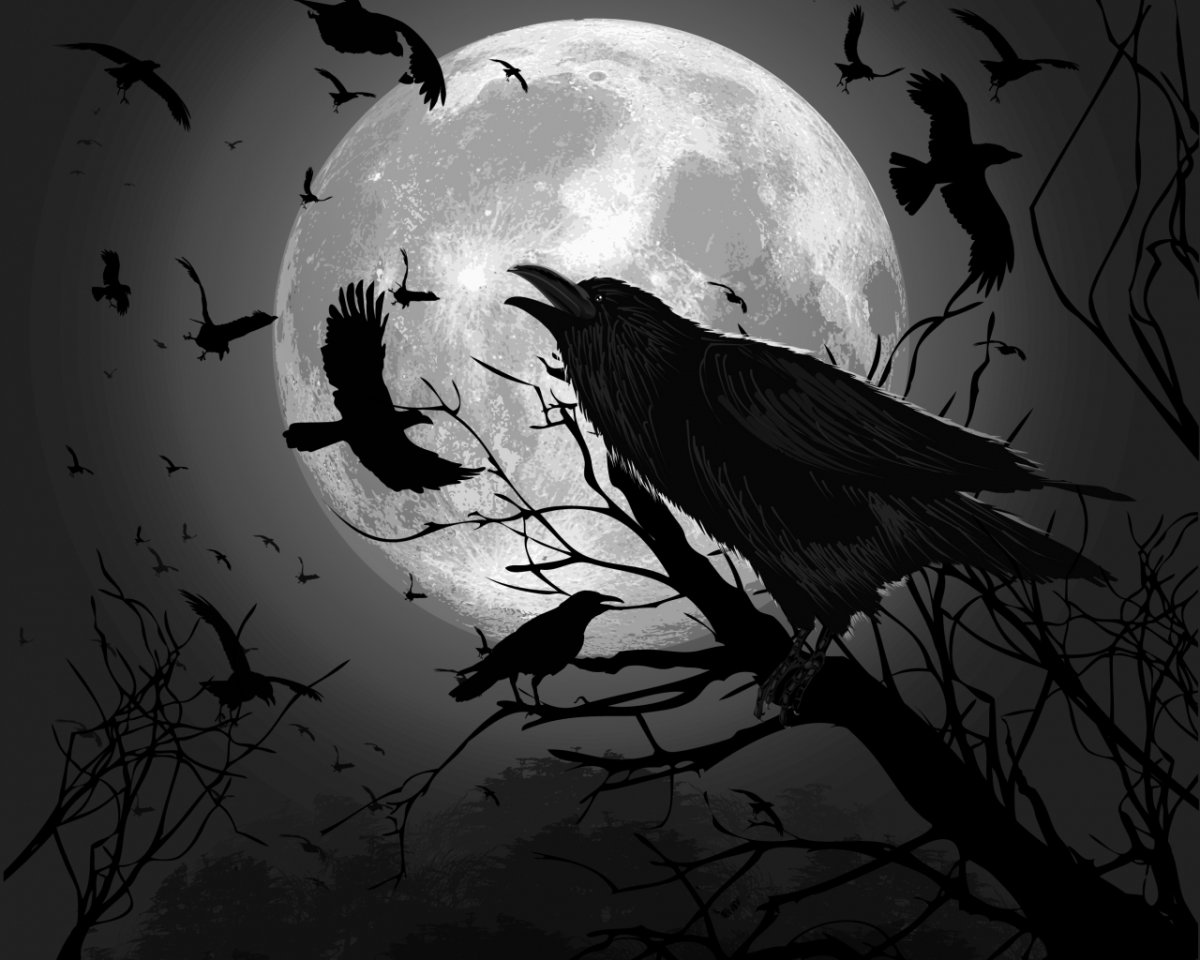 Вороны Итачи тату