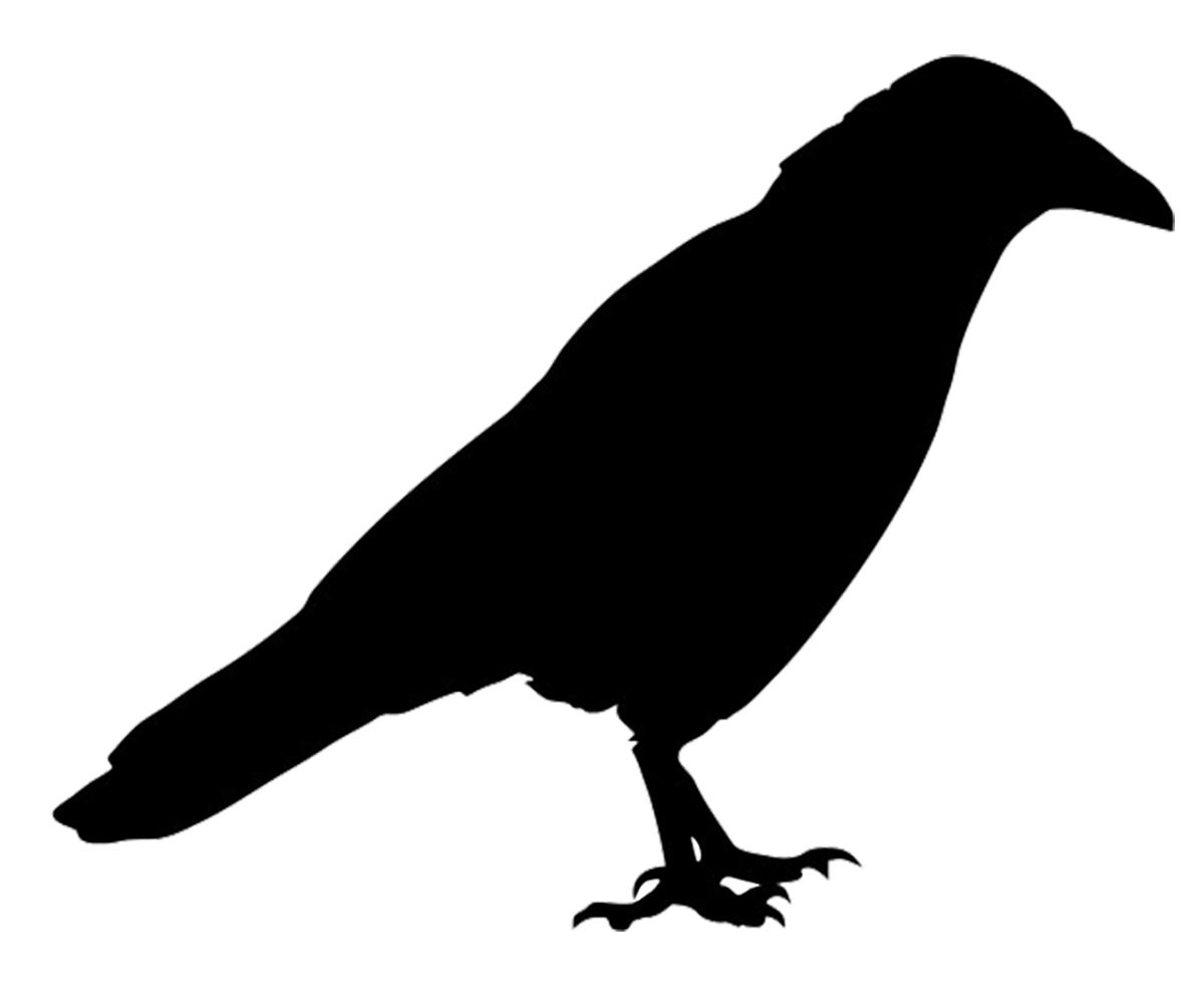 Мрачный ворон