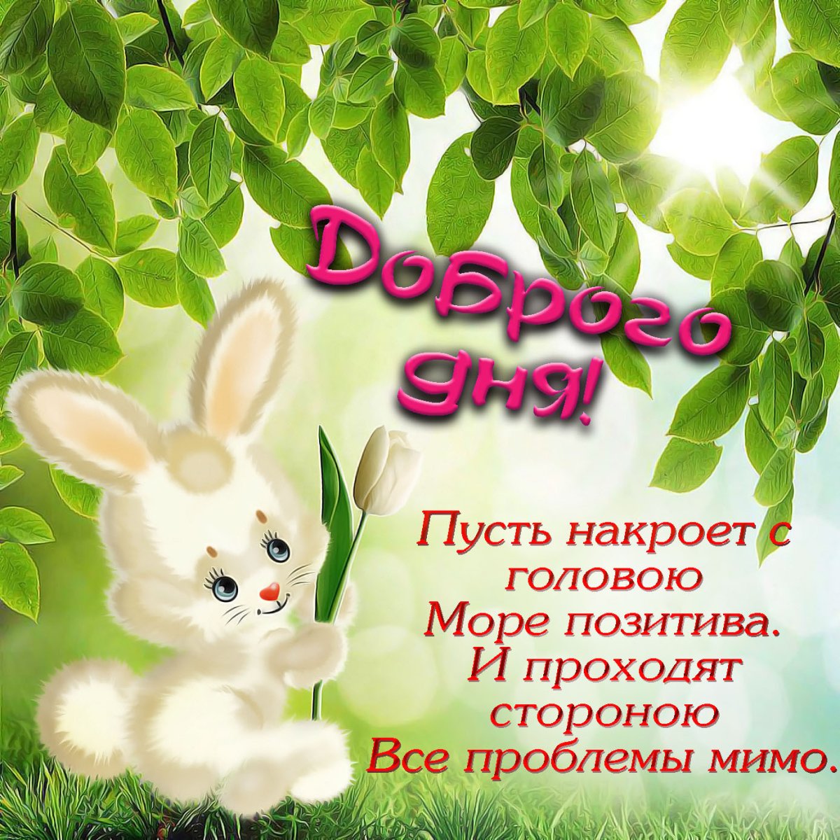 Открытки с добрым днём