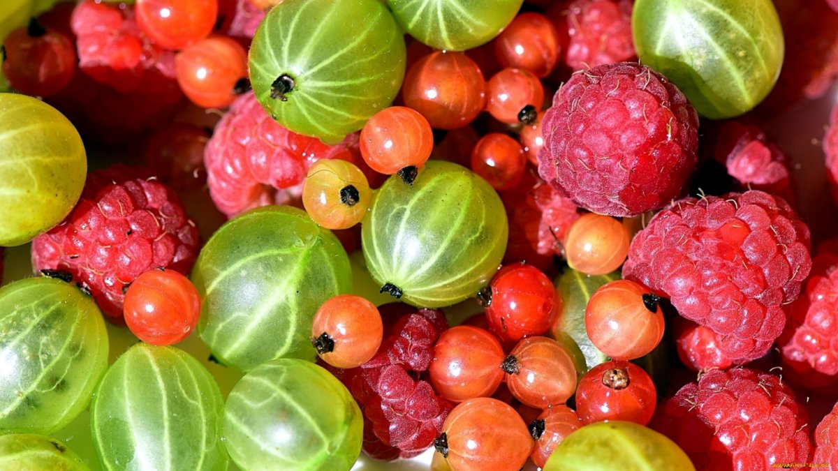 Ягоды малина крыжовник смородина