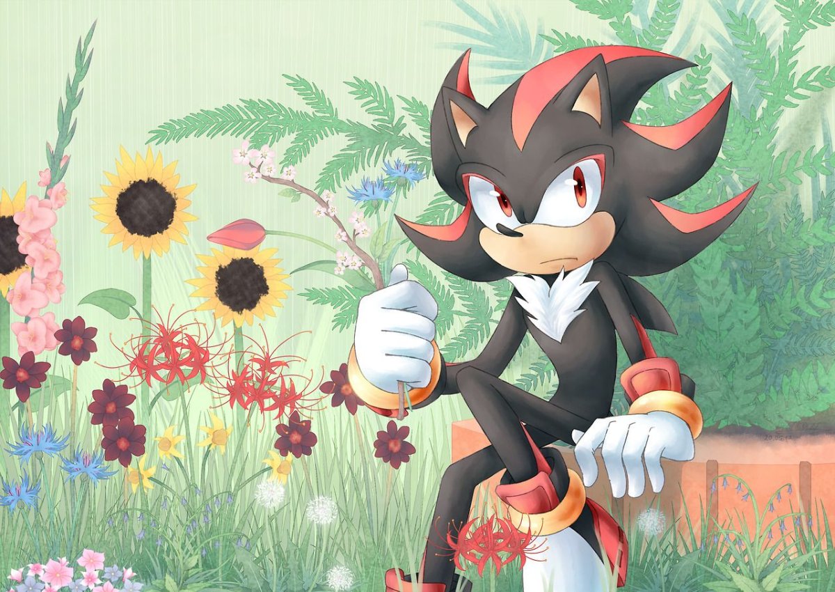 Шедоу Соник арт