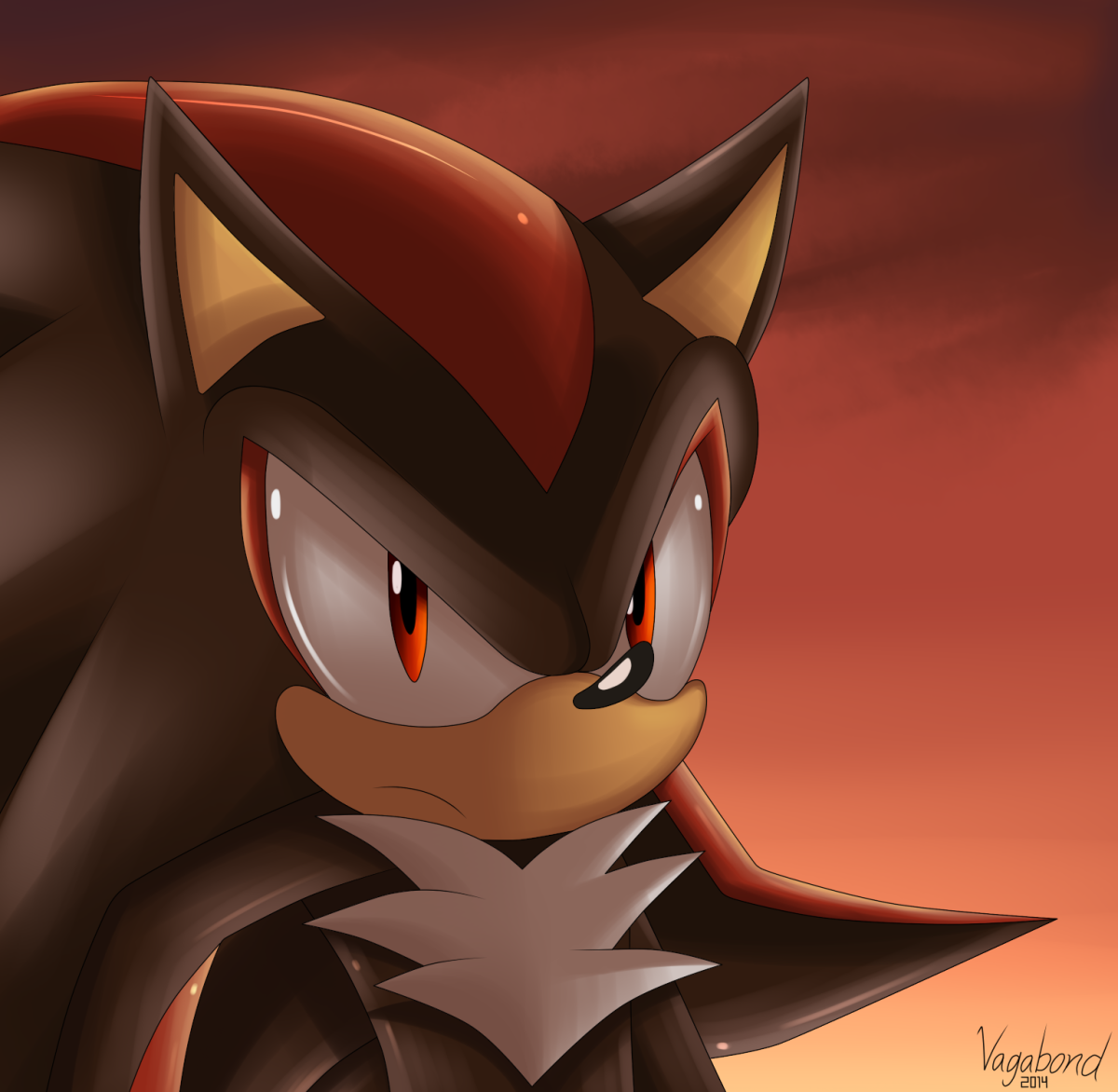 Ёж Шэдоу комиксы