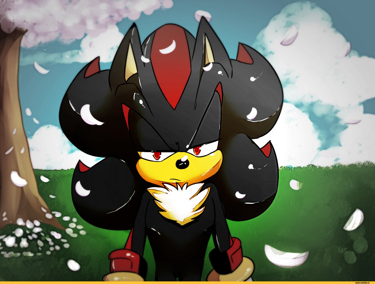 Дзинторо рейд Шедоу