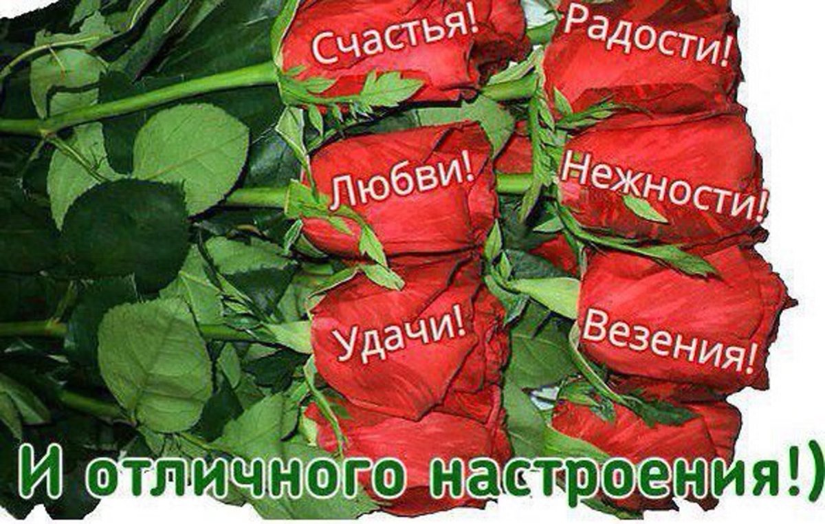 Креативные цветы