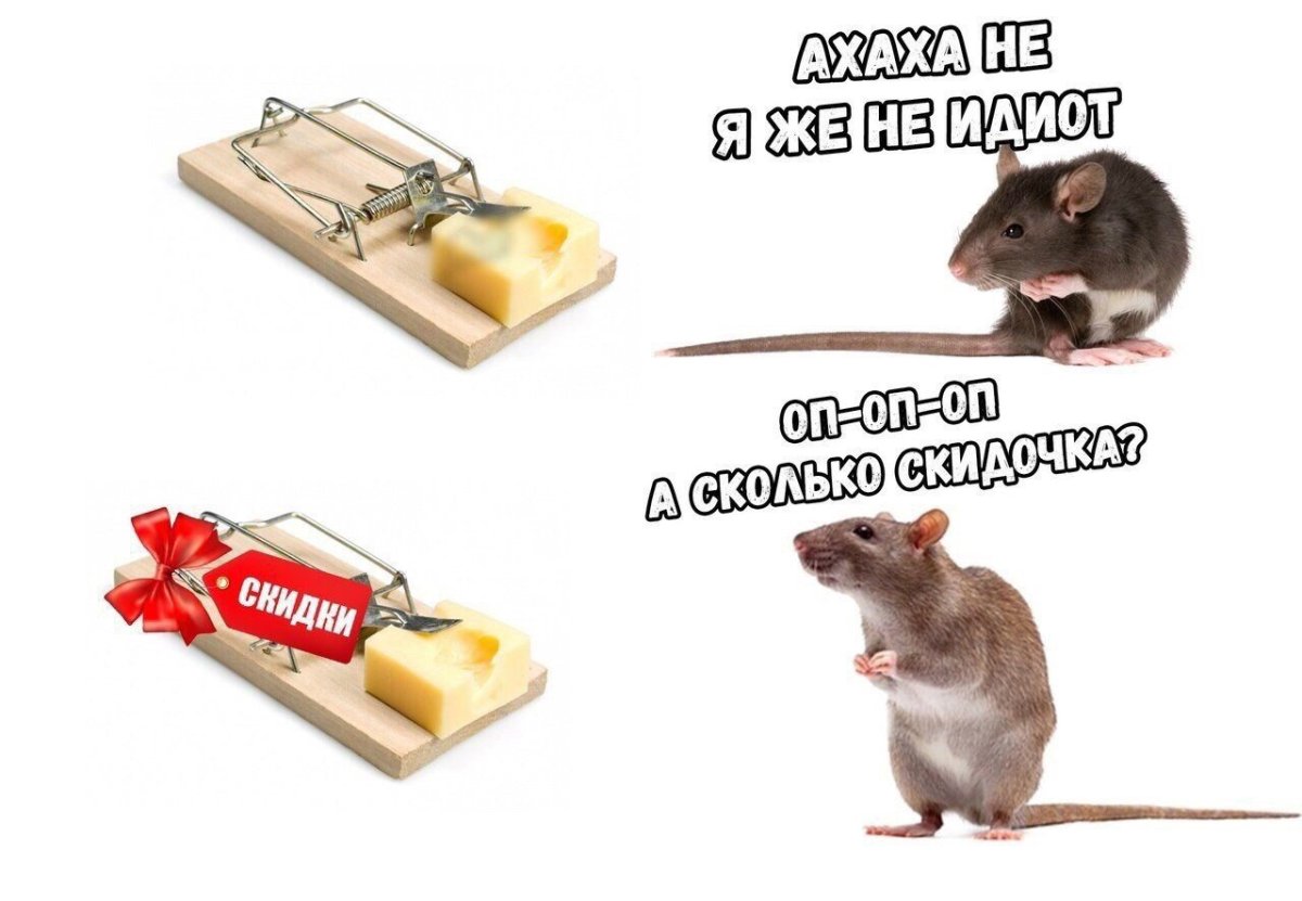 Мышка с сыром в мышеловке