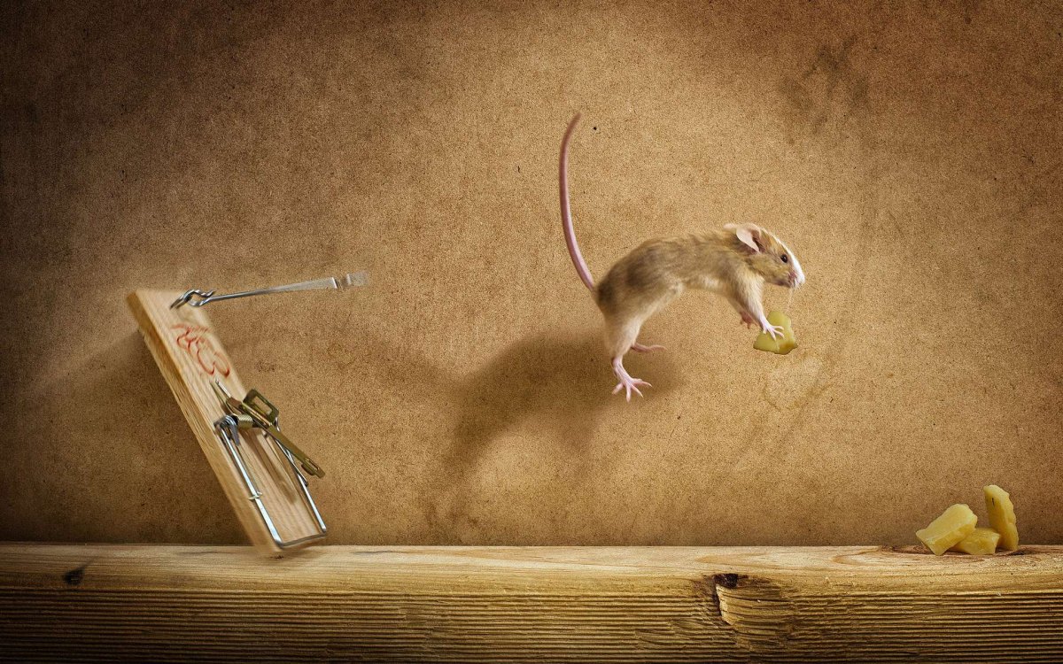 Креативные заставки на рабочий стол