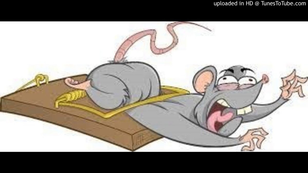 In Baiting a Mouse Trap with Cheese always leave Room for the Mouse reproduction signs
