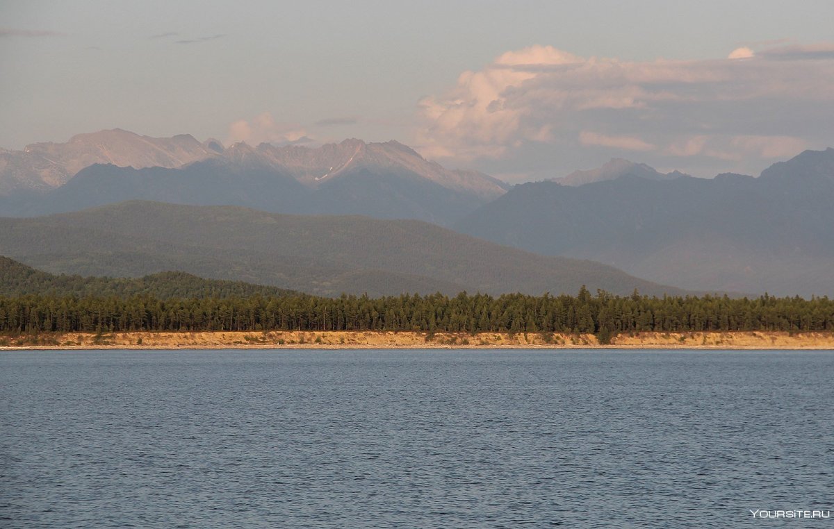 Баргузинский заповедник фауна