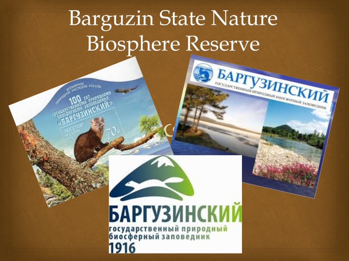 Проект заповедники России Баргузинский