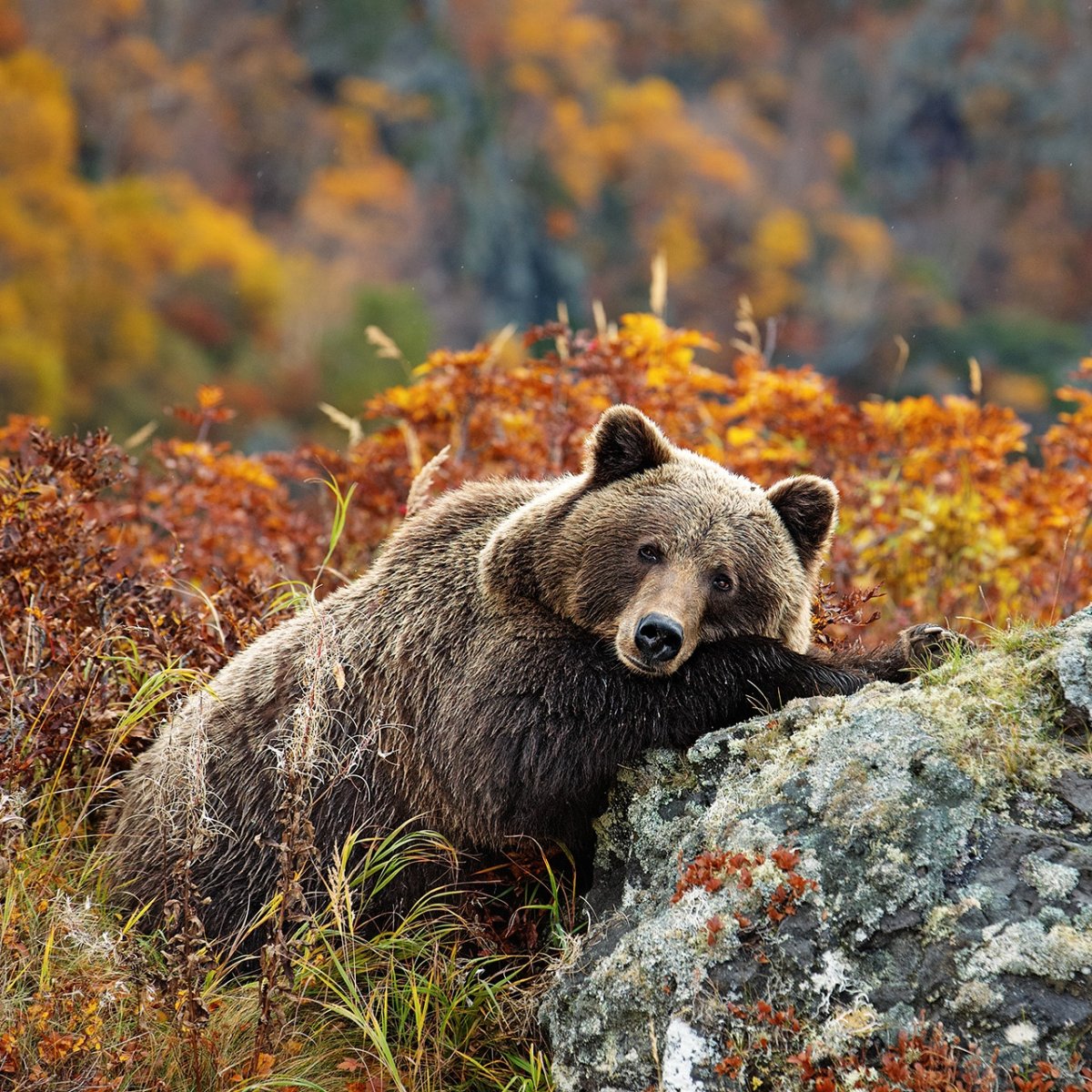 Баргузинский хребет Байкал