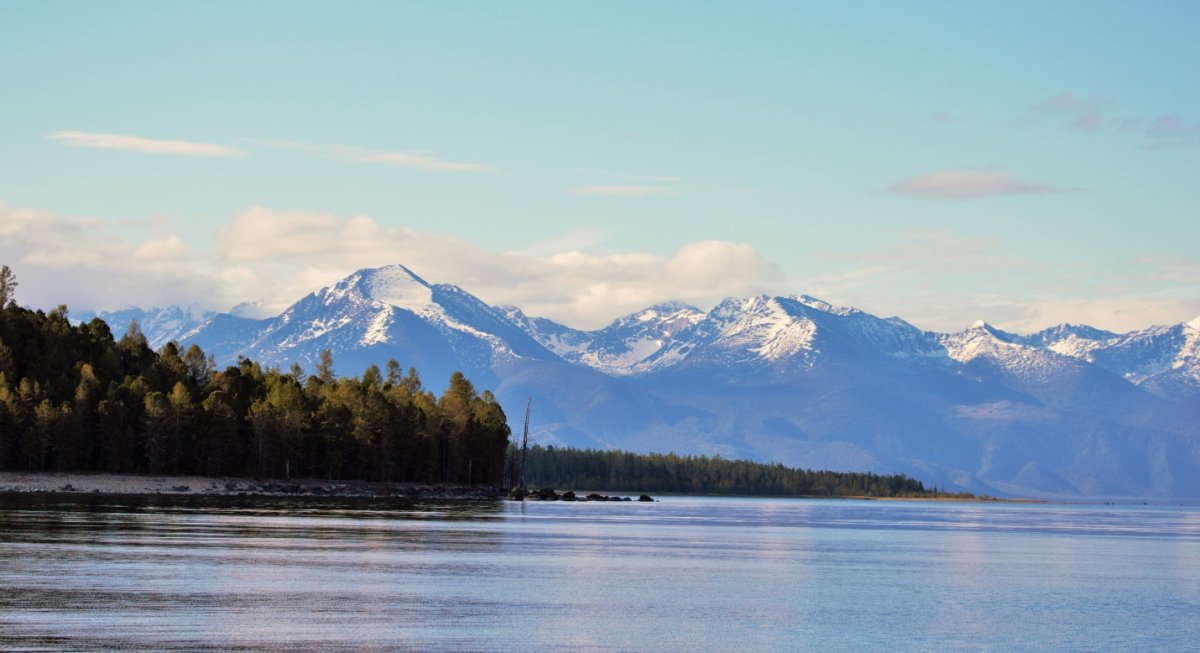 Баргузинский Соболь