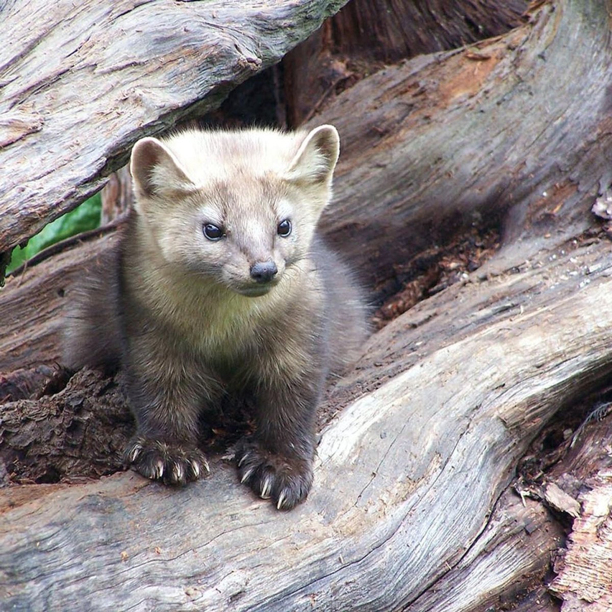 Улан-Удэ Байкал природа