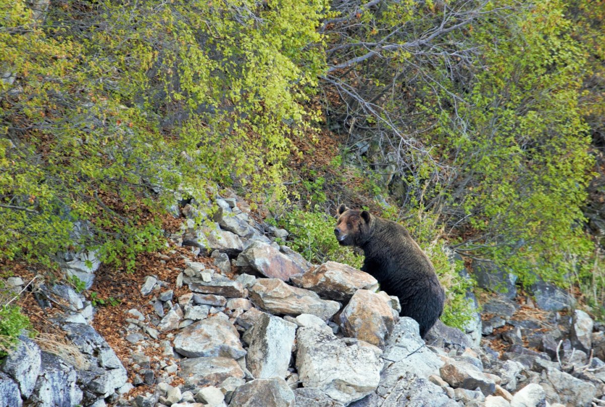 Надпись заповедники России