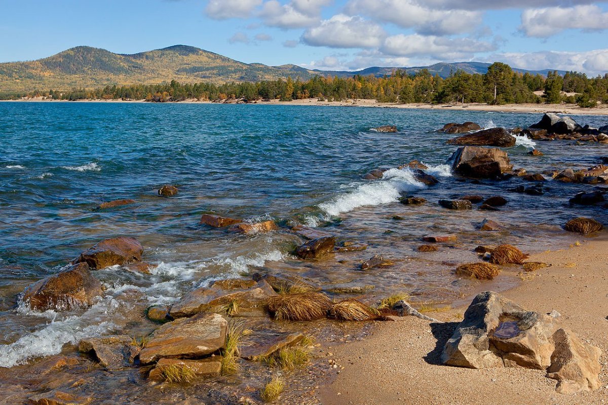 Баргузинский Соболь