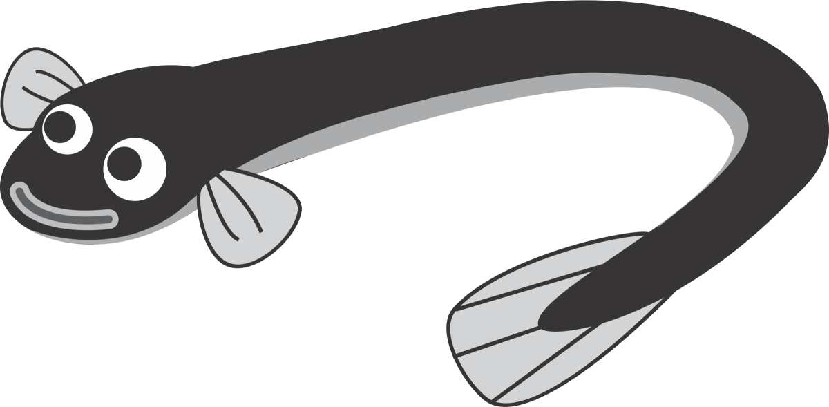 Морской Балтийский угорь