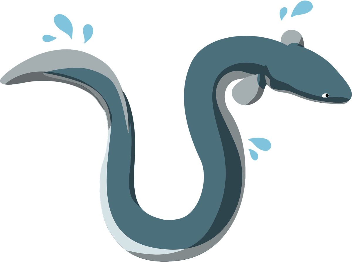 Европейский угорь Патти